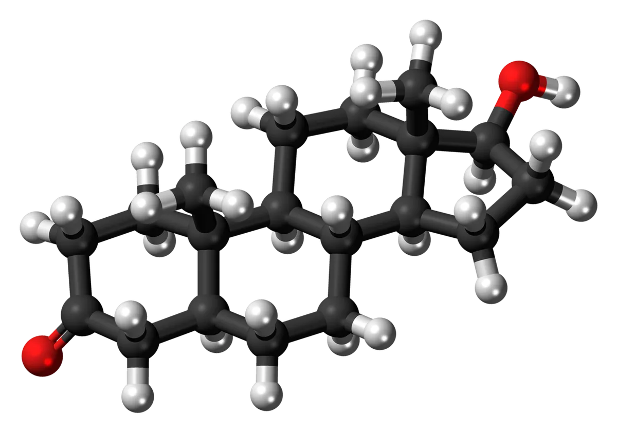 Modello a sfere e bastoncini della molecola di diidrotestosterone